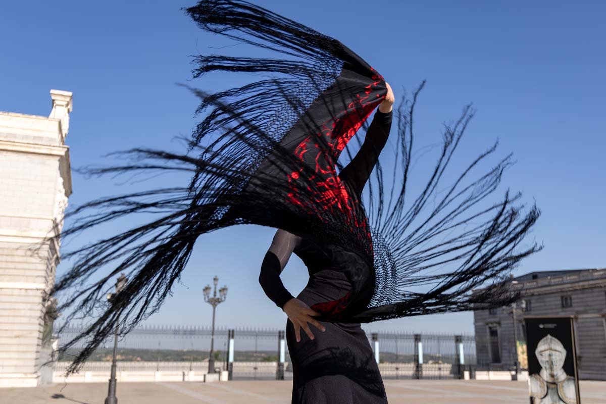 danse - bailarina - flamenco - dance - danseuse - dancer